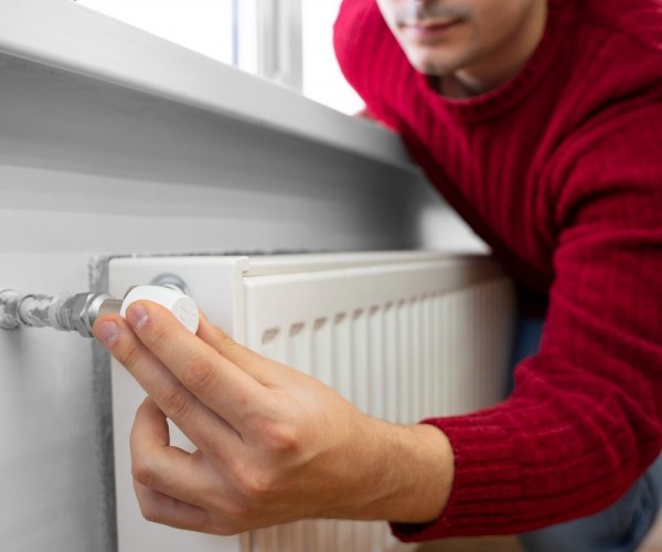 İlaçla Petek Temizliği